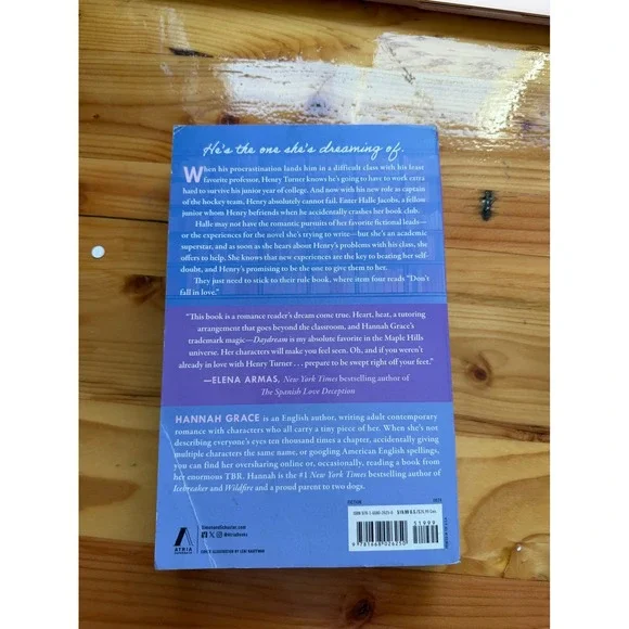 Daydreamer by Hannah Grace – Paperback – Great Condition - Picture 3 of 4